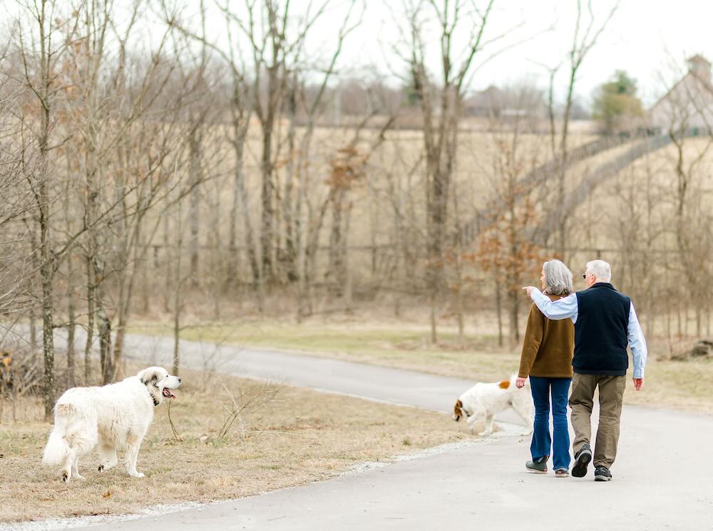 Senior couple walking their dogs in a winter park